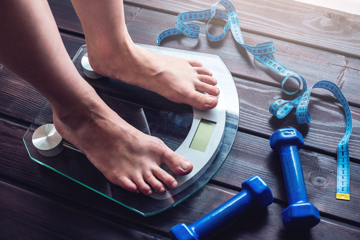 The Benefits of a Body Composition Scale — SquareTrade Blog